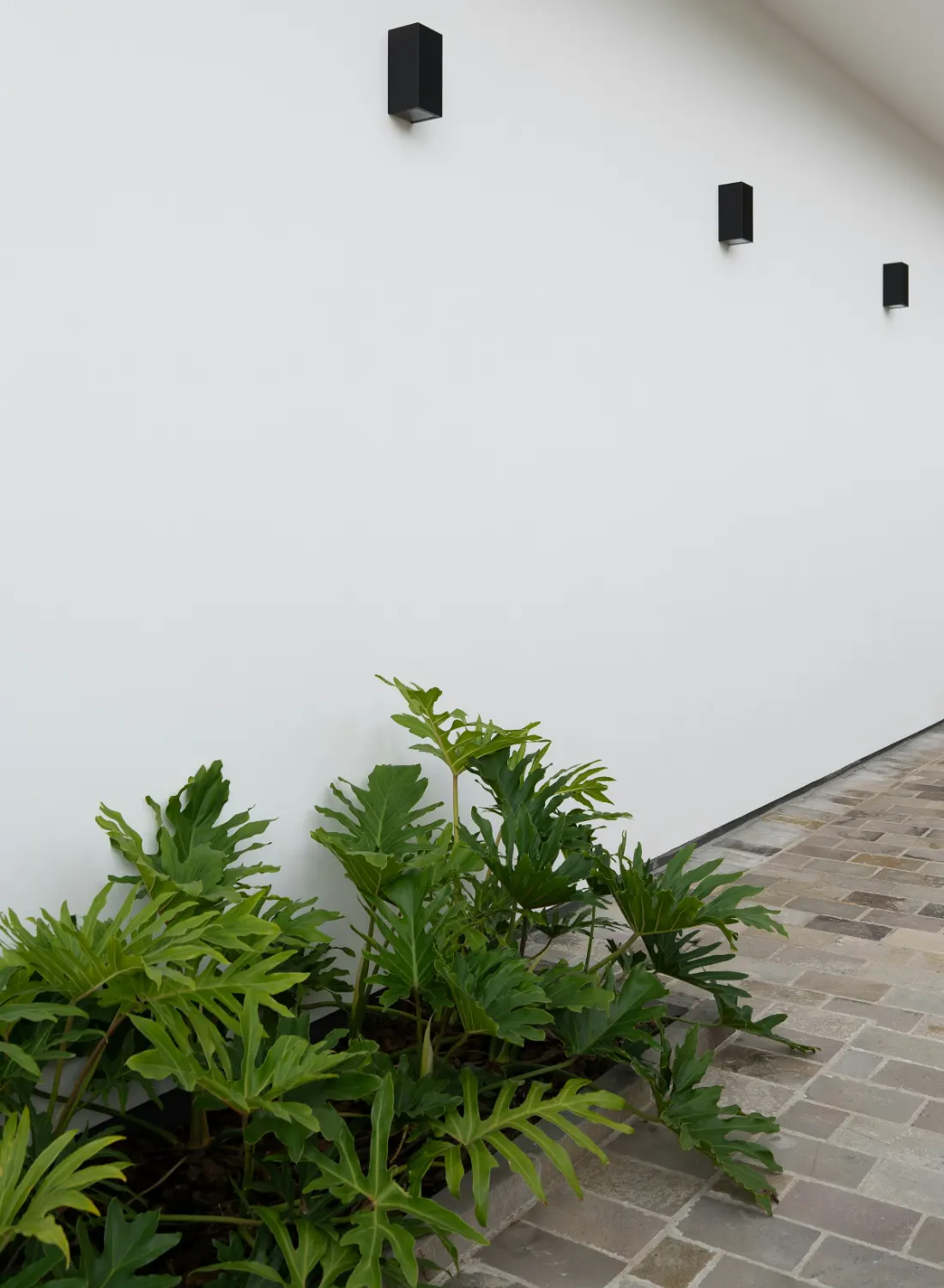 Weelderige beplanting langs een natuurstenen tuinpad.